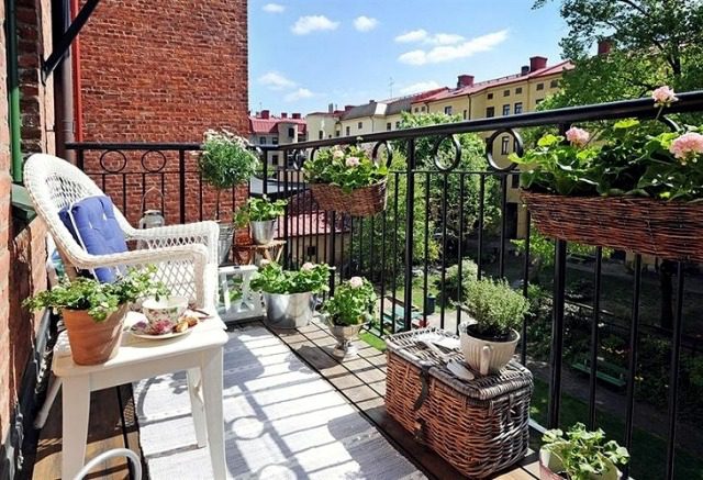 Φυτά σε μικρό μπαλκόνι